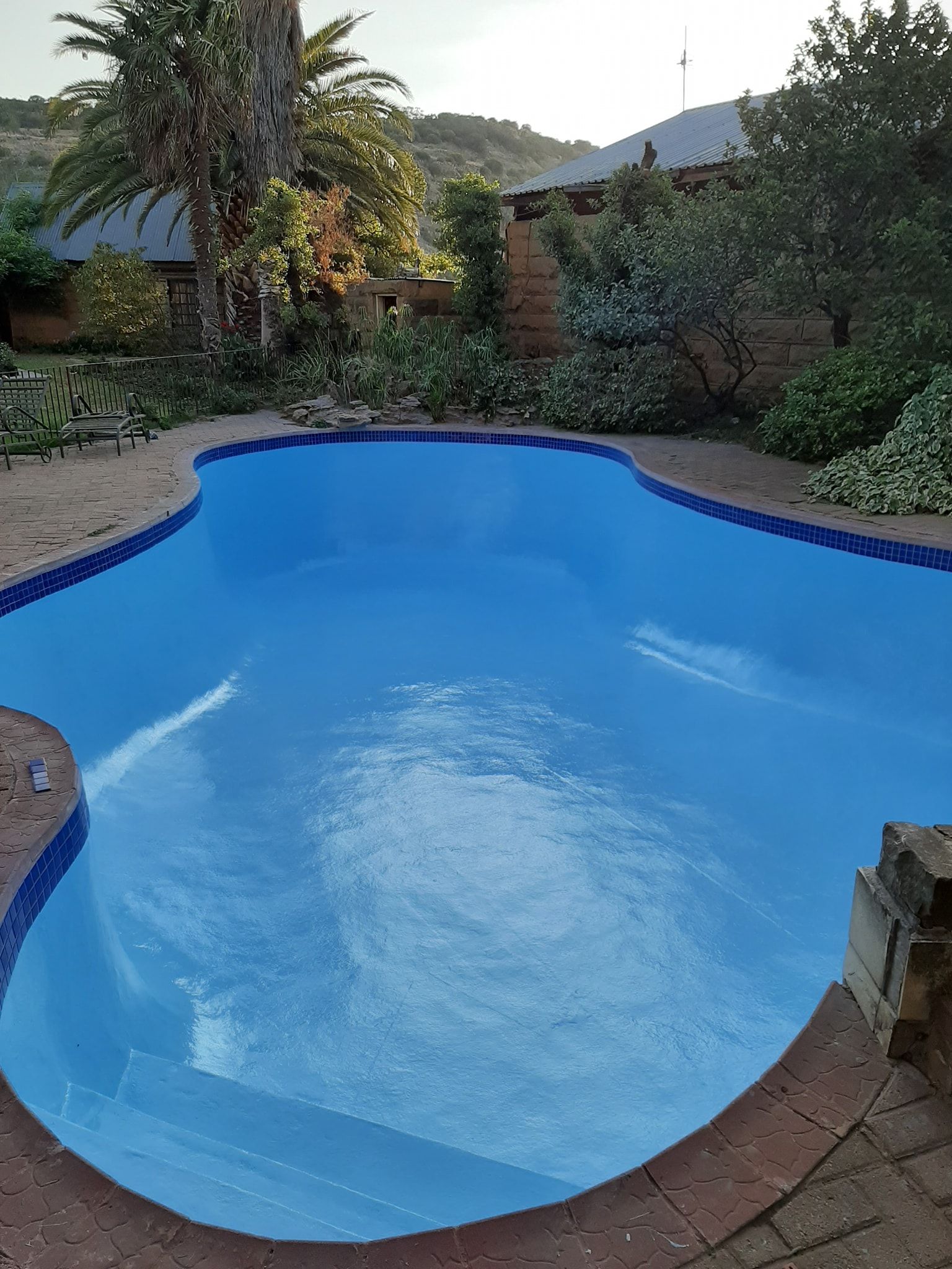 Blue backyard swimming pool surrounded by brick patio and lush greenery at dusk