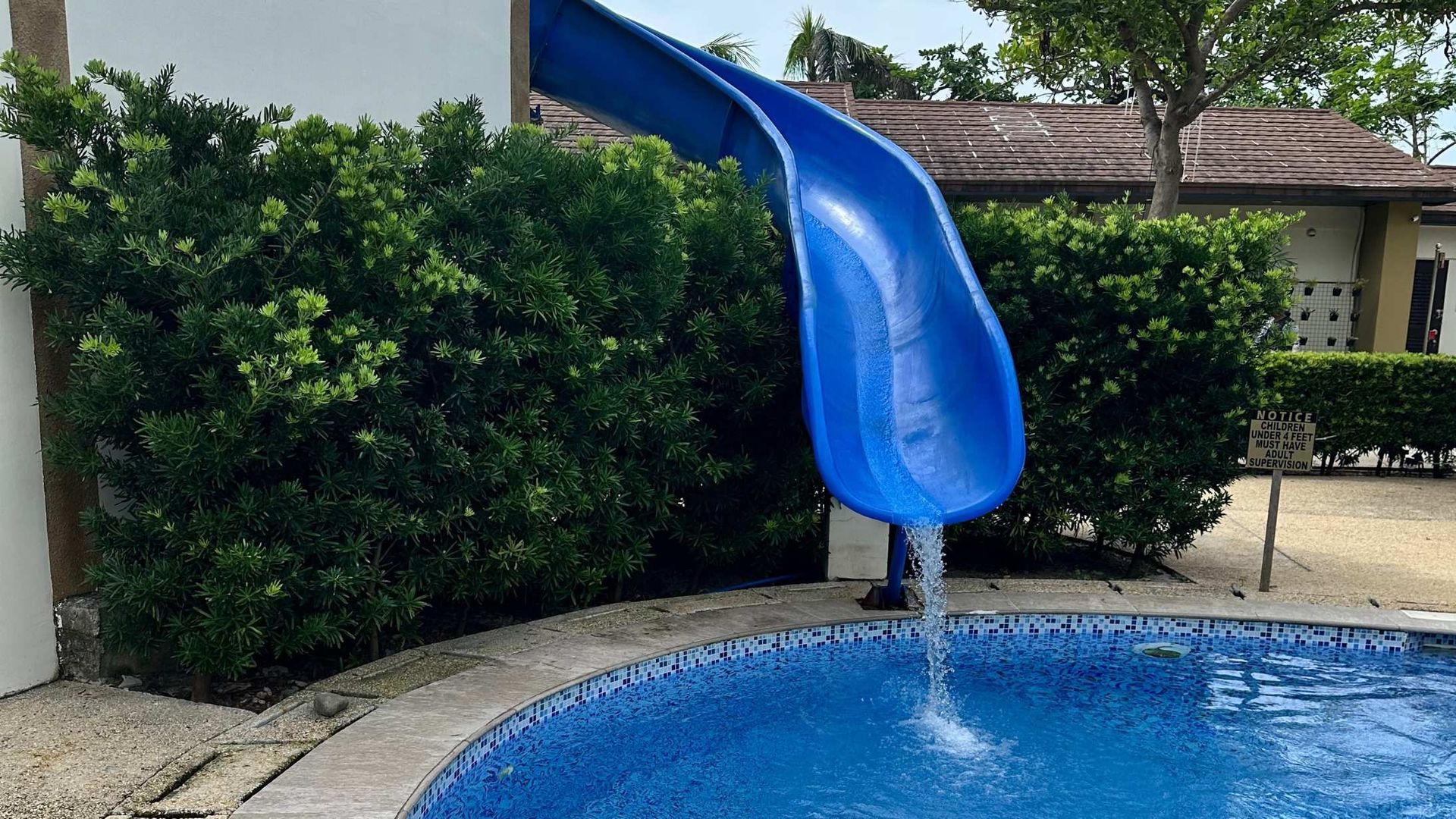 A blue pool slide descends from a wall into a tiled swimming pool, surrounded by green hedges and a building.