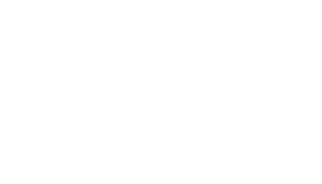 A transparent background with the Logo and words Satori Branding and Digital Marketing '' written on it.
