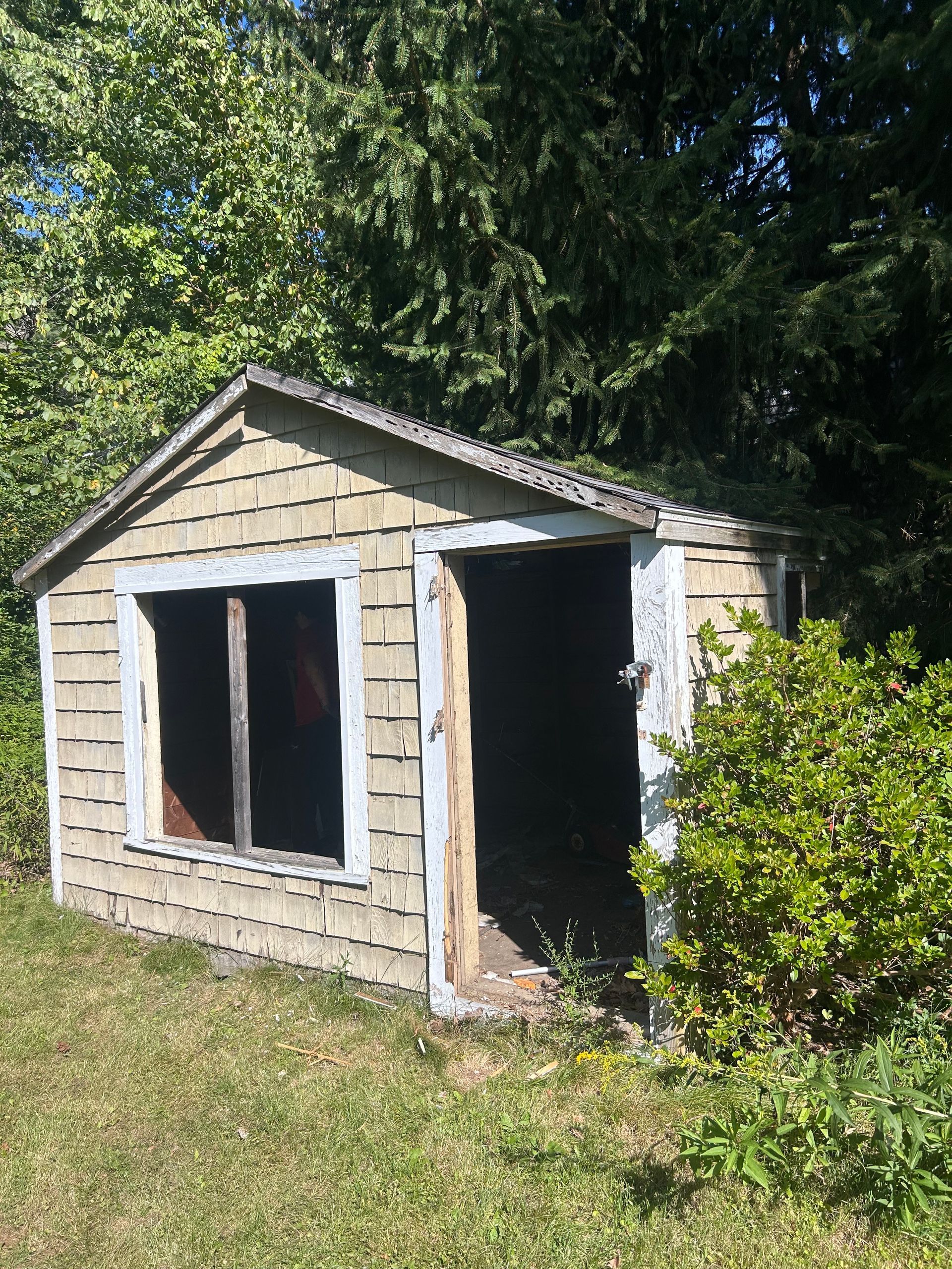 Weathered shed with empty window and doorway, surrounded by grass and trees.