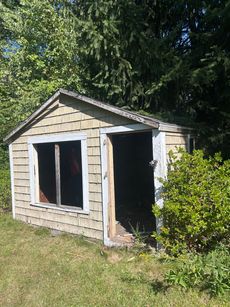 Weathered shed with empty window and doorway, surrounded by grass and trees.