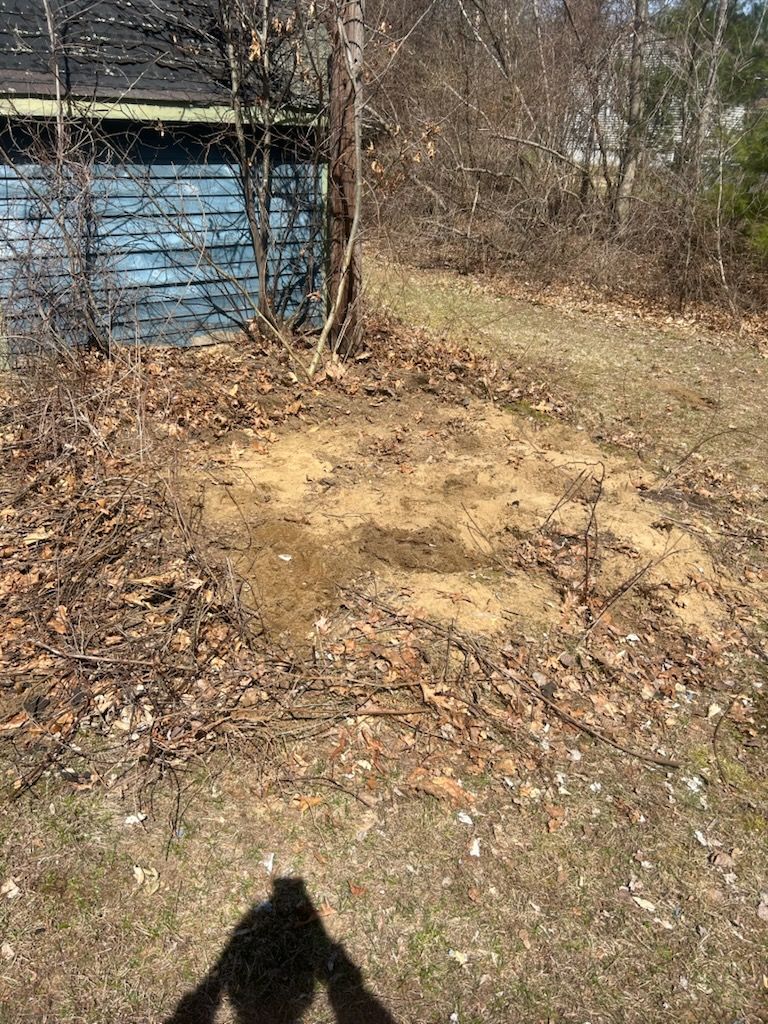 Dirt patch surrounded by leaves near a blue-sided building and trees; sunny outdoors.