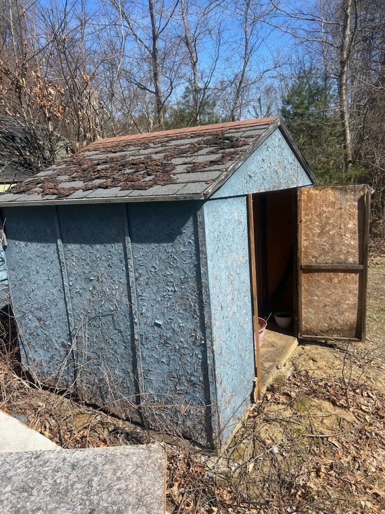 Blue shed with open door, mossy roof, and surrounding dry leaves and trees.
