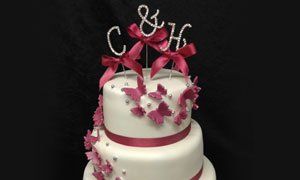 C & H red butterfly wedding cake