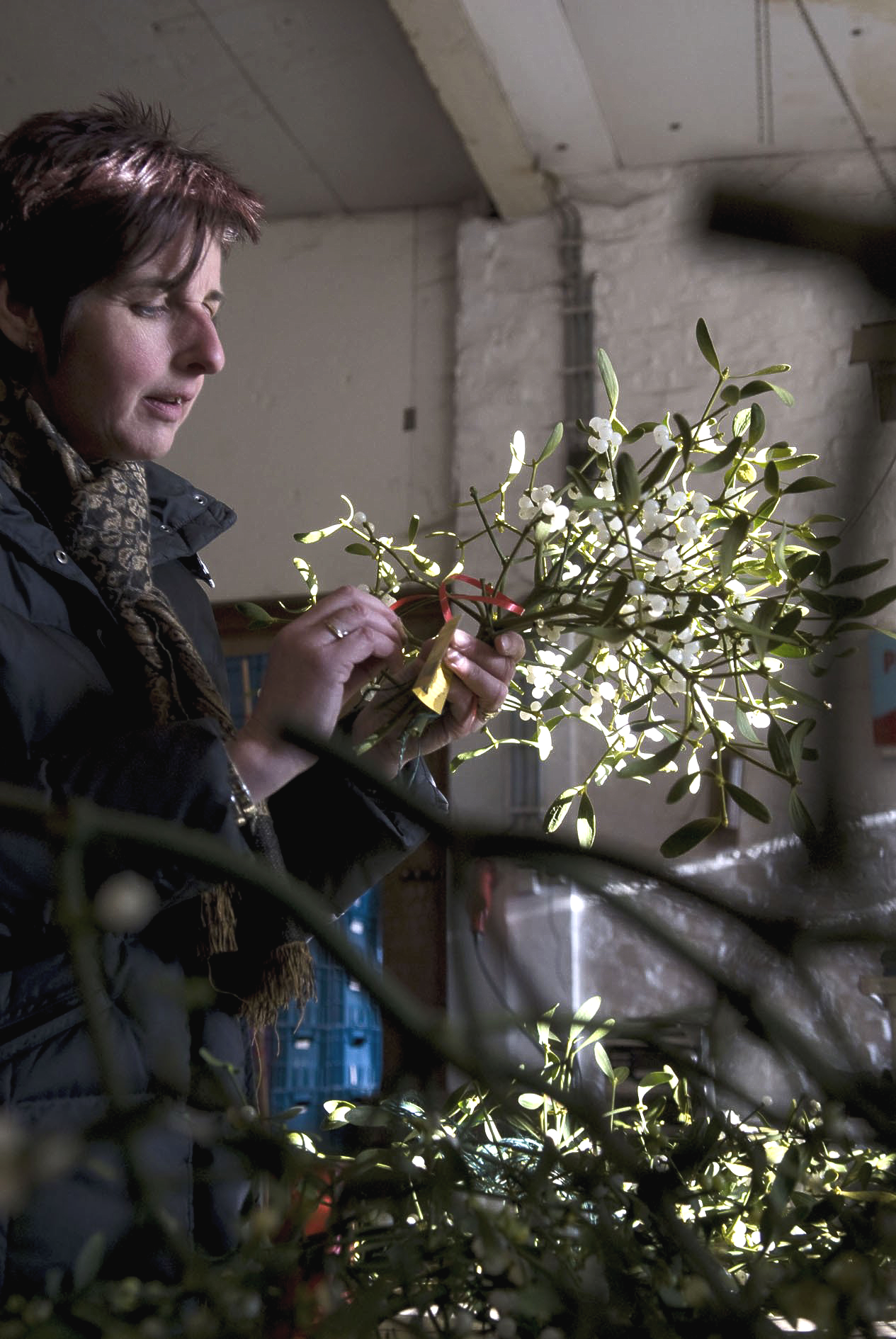 bosjes maretakken worden door Hannie maakt