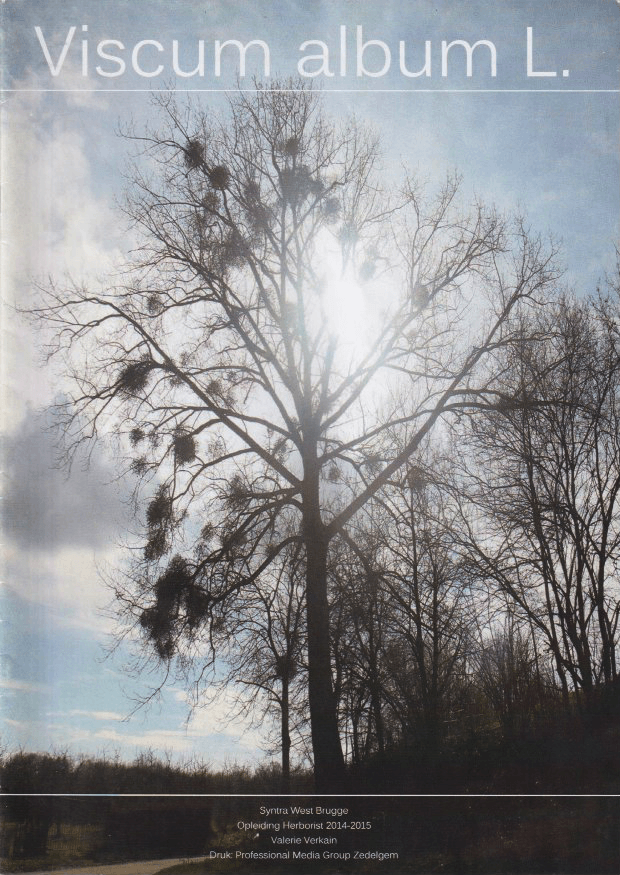 maretakkenboerderij Viscum album