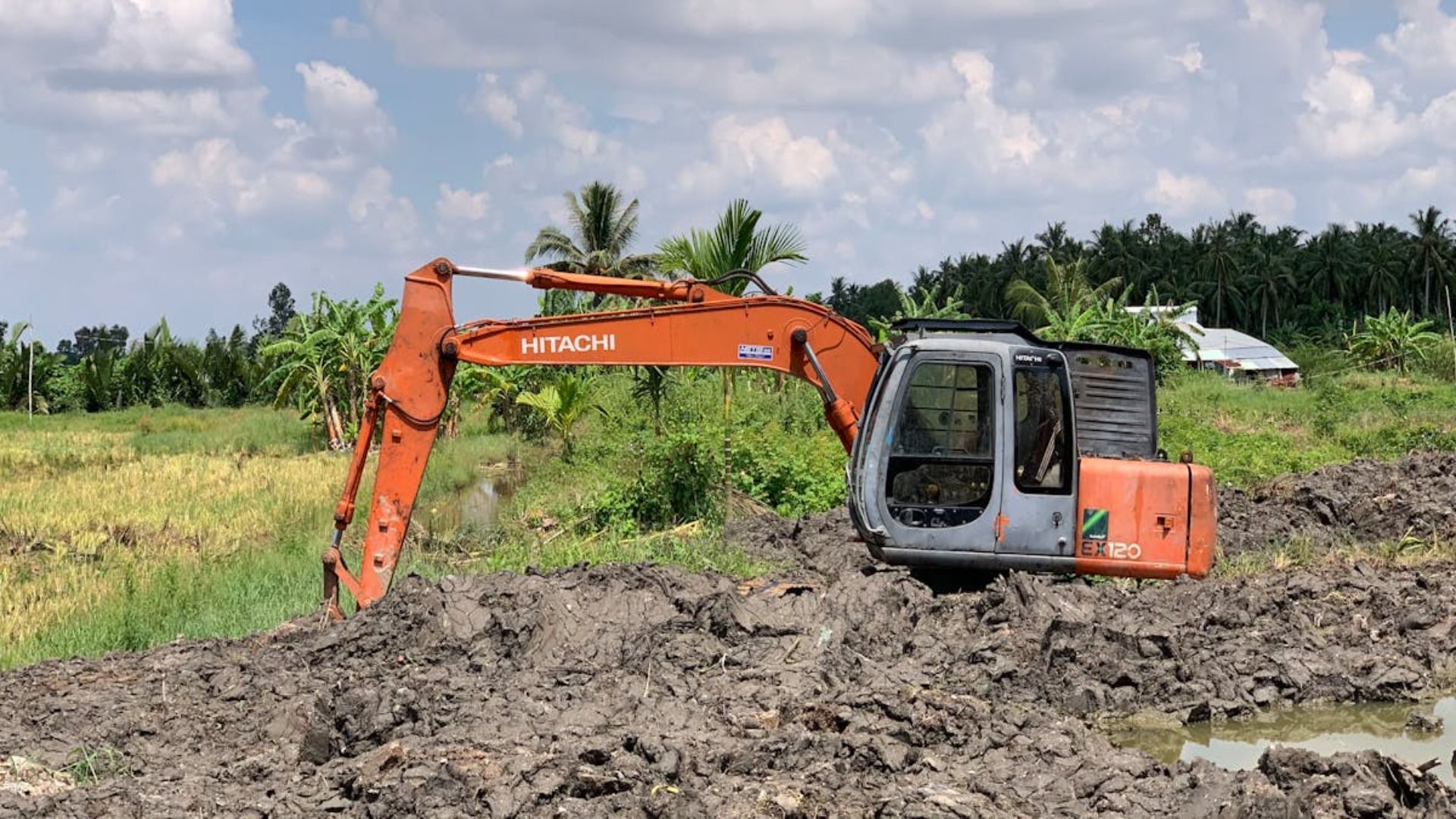Excavadora Hitachi naranja excavando en terreno fangoso, rodeada de vegetación y un cielo nublado.