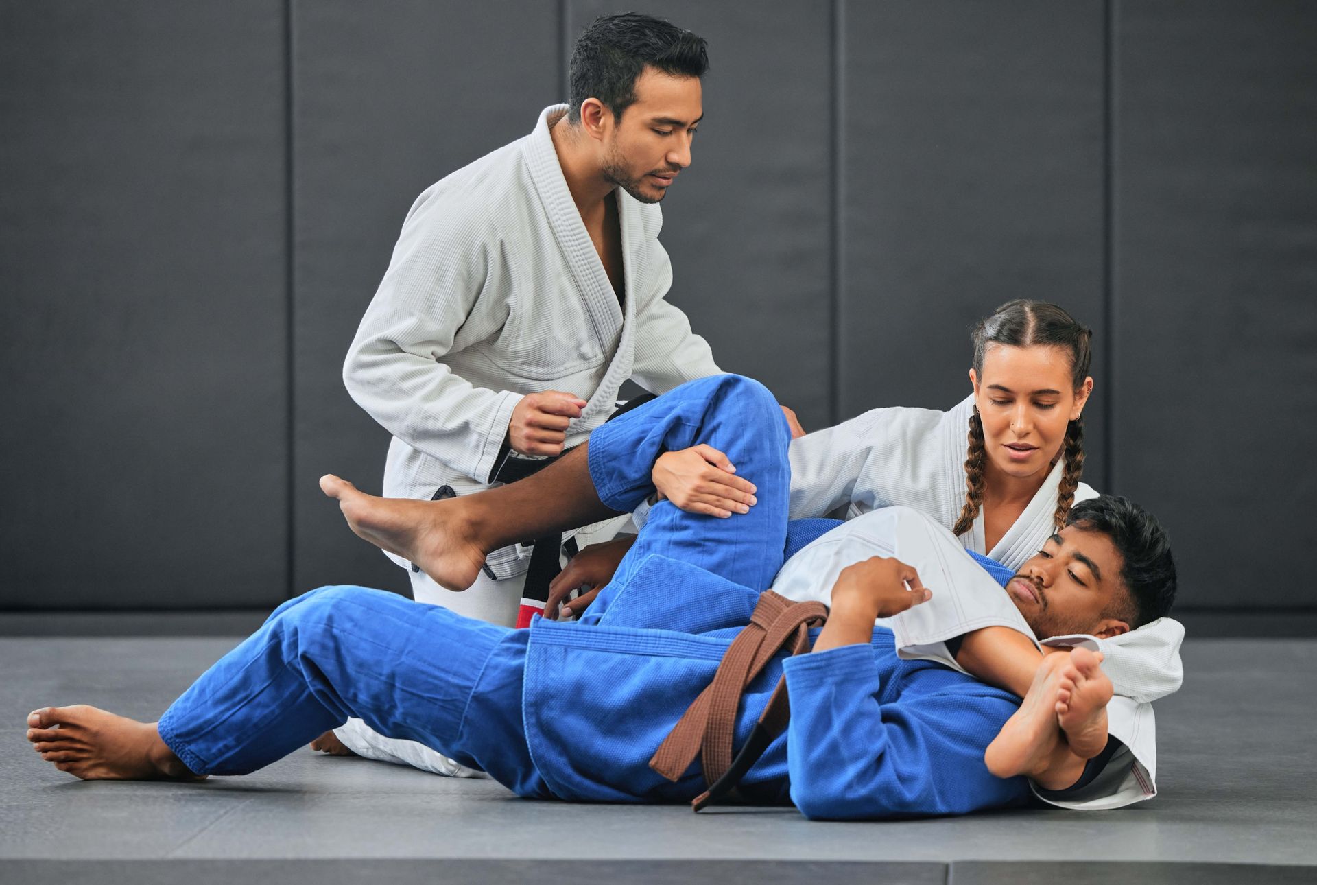 adult bjj