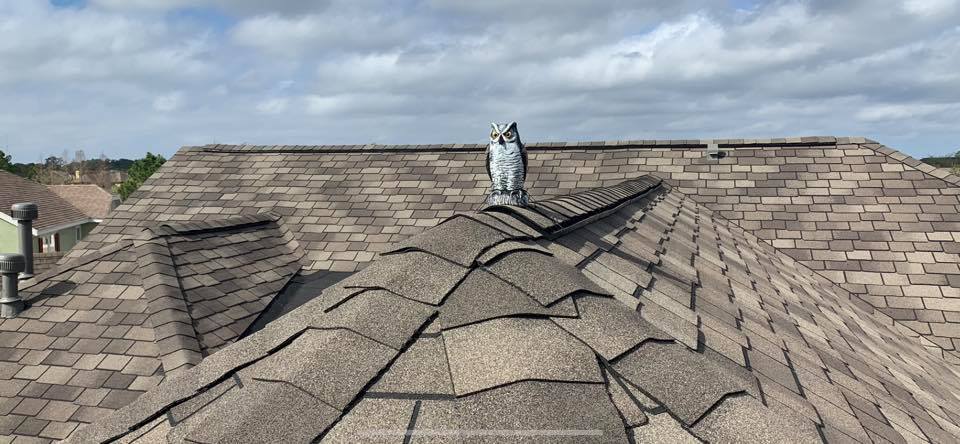 3 Quick Tips to Make Your Roof Last