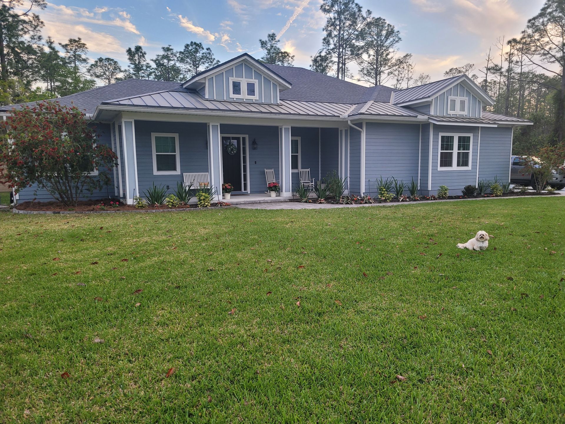 A small white dog is standing in front of a large house.