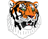 A drawing of a tiger 's head with green eyes.