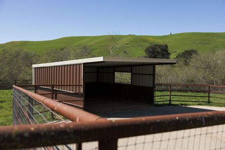 Rustic shed with corrugated roof behind a chain-link fence, set in a grassy hillside field.