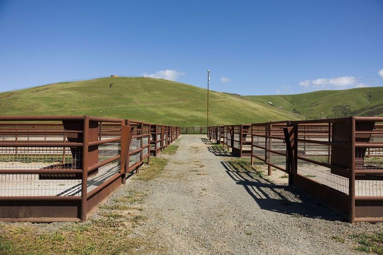 Gravel path between metal livestock pens on a green hillside under a clear blue sky