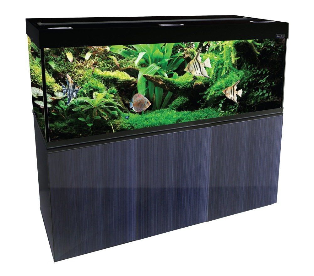 Aquarium with fish and plants, mounted on a dark blue cabinet.
