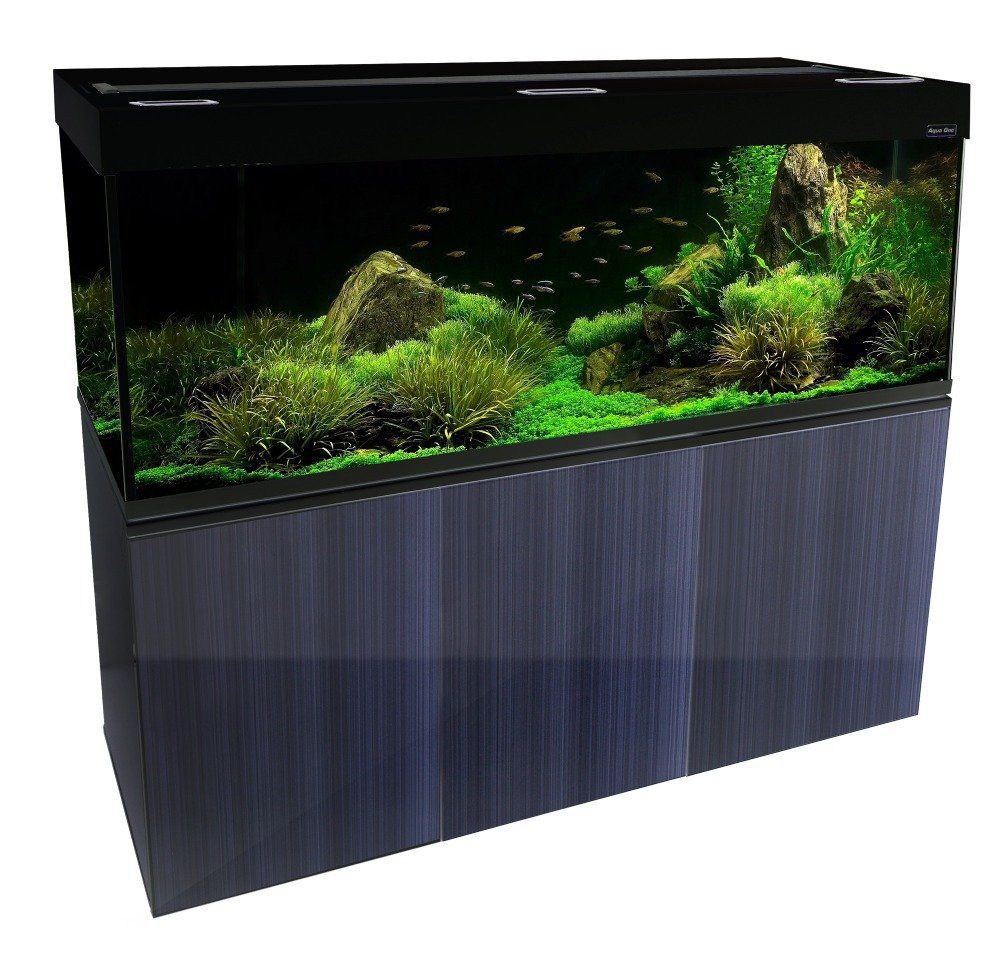 Aquarium with fish and plants, set on a dark blue cabinet.