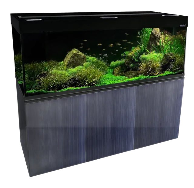 Aquarium with black trim, filled with aquatic plants, rocks, and small fish, set on a blue-gray cabinet.