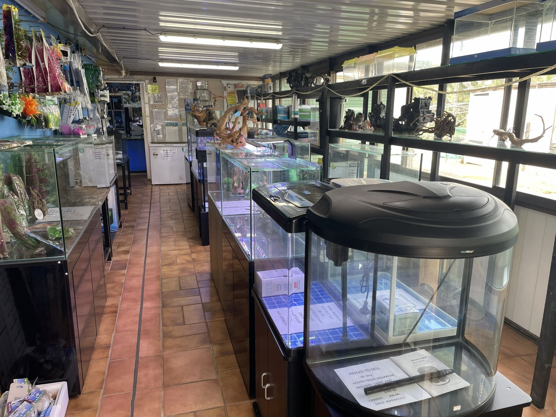 Interior of a pet store with multiple fish tanks, shelving with decorations, and other aquatic supplies.