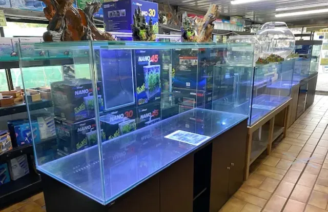 A row of empty aquariums in a store, lit with blue light, with shelving and products visible.