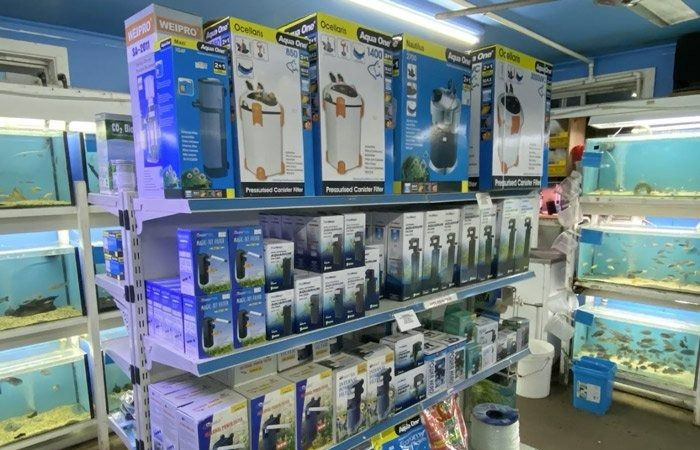 Shelves in A Pet Store Stocked with Aquarium Filters and Fish Food — Summerland Aquarium in Wollongbar, NSW