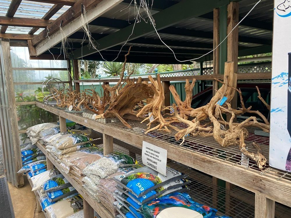 Wooden Aquarium Driftwood on Display Shelves with Bags of Substrate — Summerland Aquarium in Wollongbar, NSW