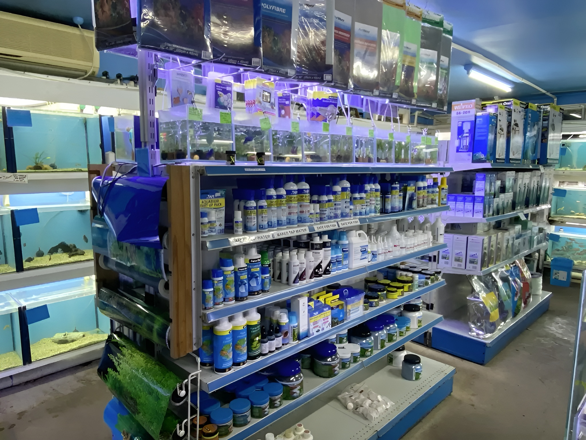 Shelves Stocked with Aquarium Supplies in A Pet Store, Tanks in The Background — Summerland Aquarium in Wollongbar, NSW