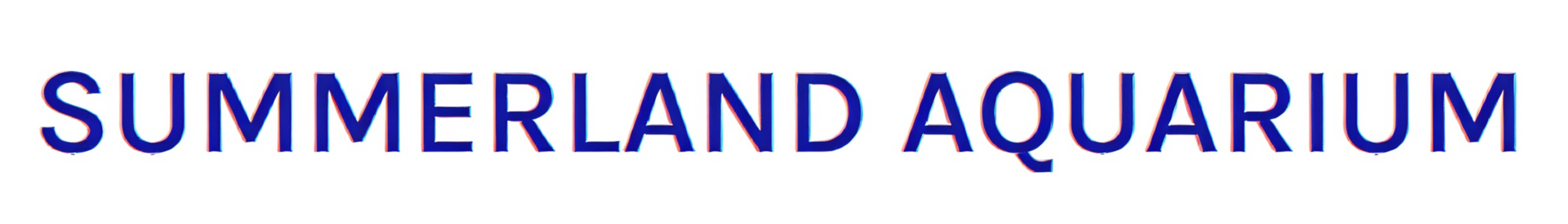 Aquarium Shop Northern Rivers