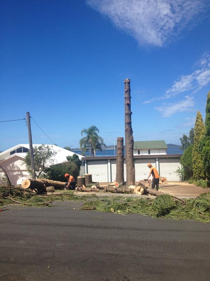 Two men are cutting down a tree in front of a garage.