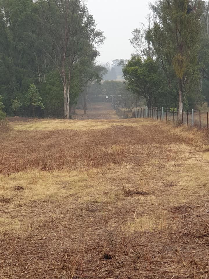 A dry grass field with trees in the background and a fence in the foreground.