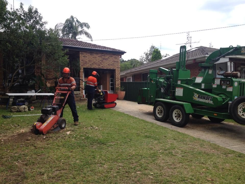 A man is using a stump grinder to remove a tree stump.