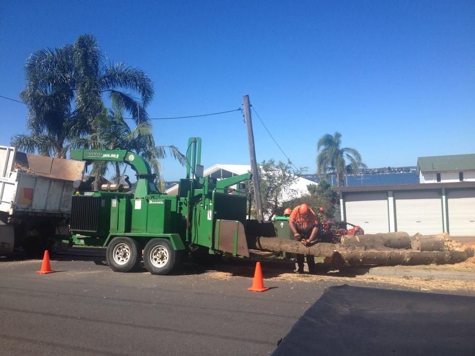 A green tree chipper is parked on the side of the road