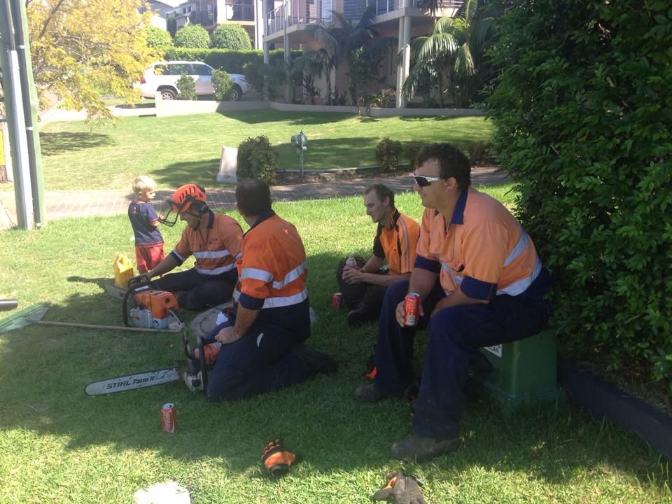A group of men are sitting on the grass with chainsaws.