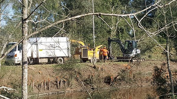 A group of people are standing next to a truck in the woods.