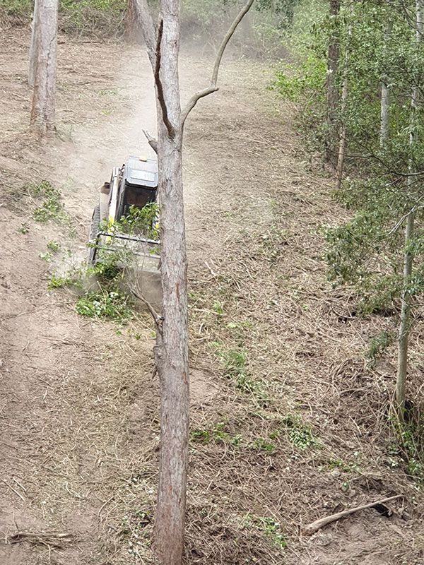 A truck is driving down a dirt road in the woods.