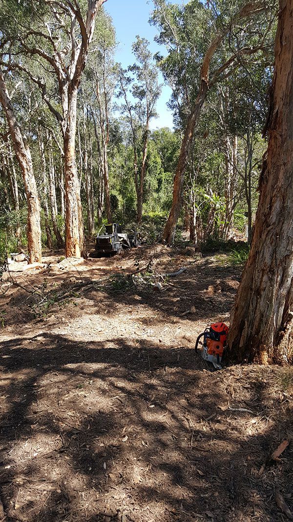 A chainsaw is sitting under a tree in the middle of a forest.