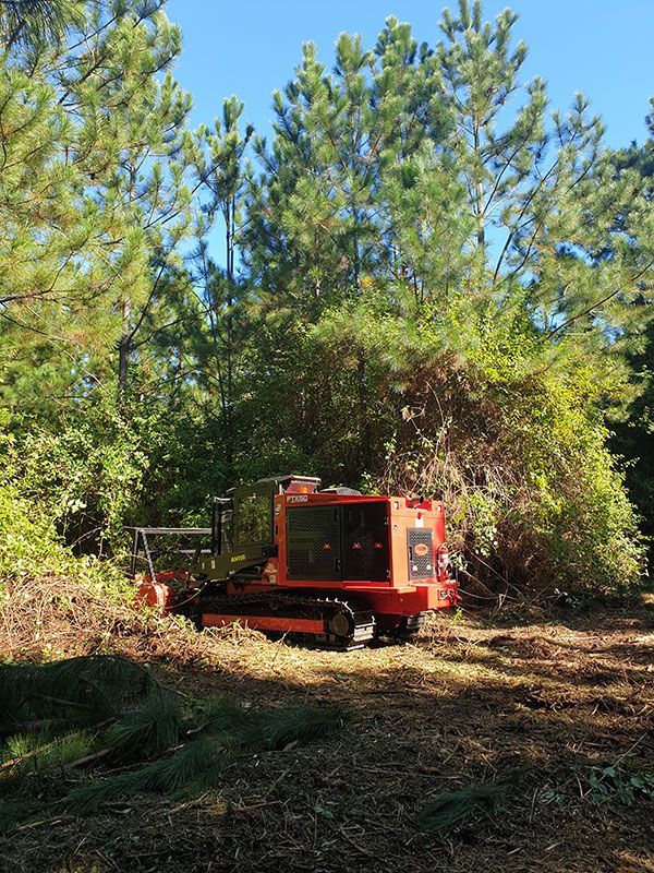 A red tractor is cutting down trees in a forest