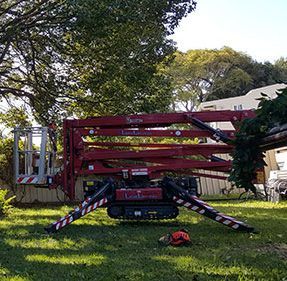 A red crane is sitting in the grass next to a christmas tree.