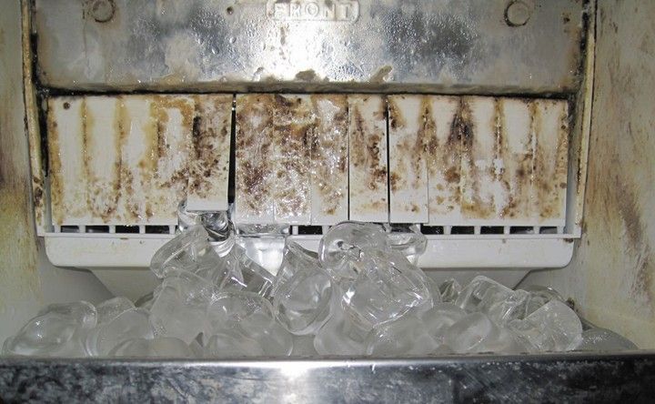 Dirty ice maker with brown mold, filled with ice cubes, inside a freezer. Dirty ice maker with brown mold, filled with ice cubes, inside a freezer.