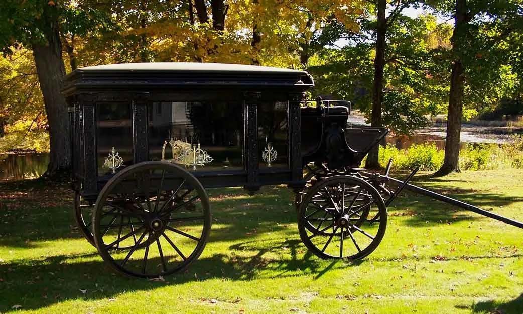 A black horse drawn carriage is parked in a grassy field.
