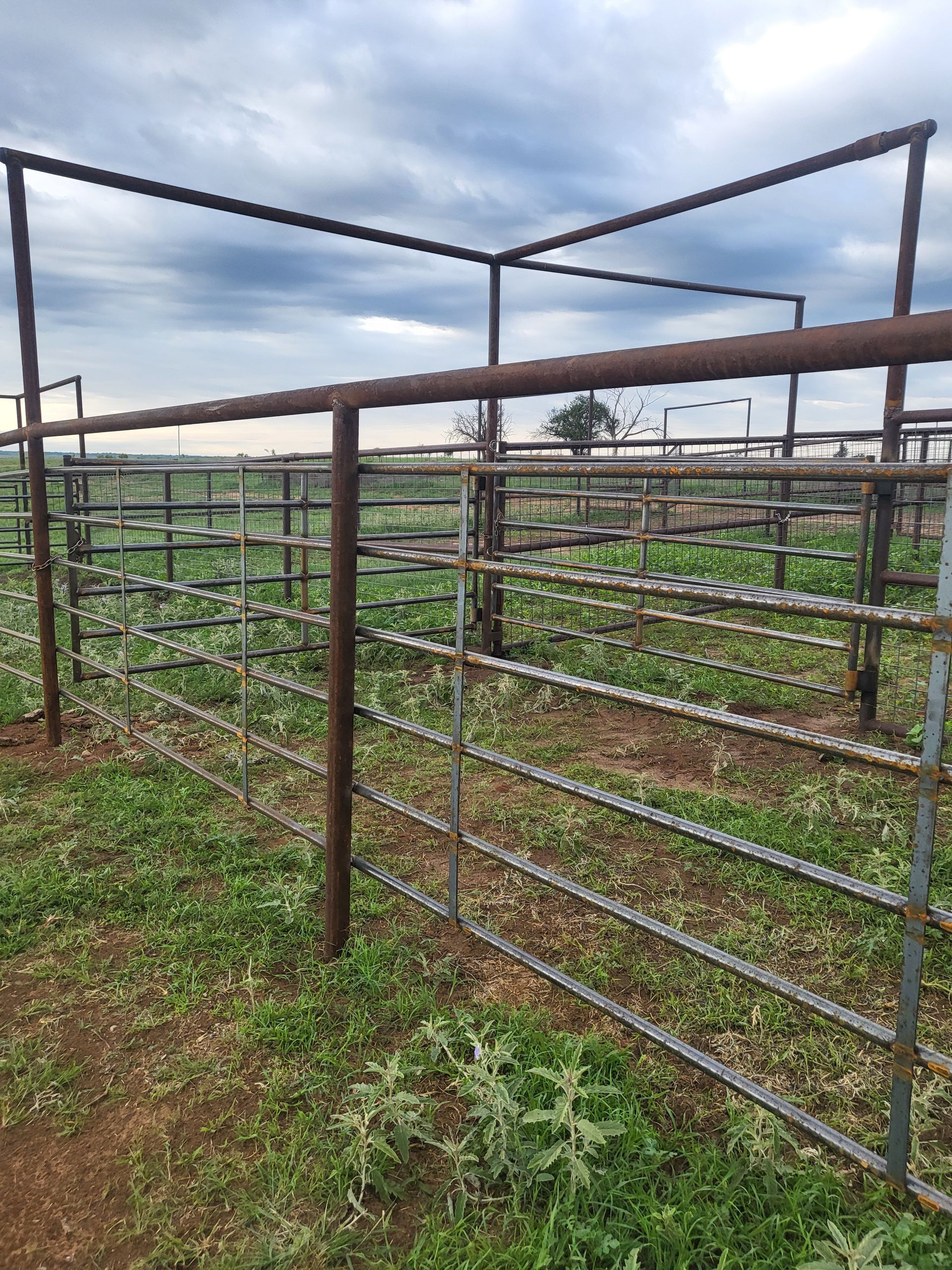 Metal cattle pens in a grassy field under a cloudy sky.