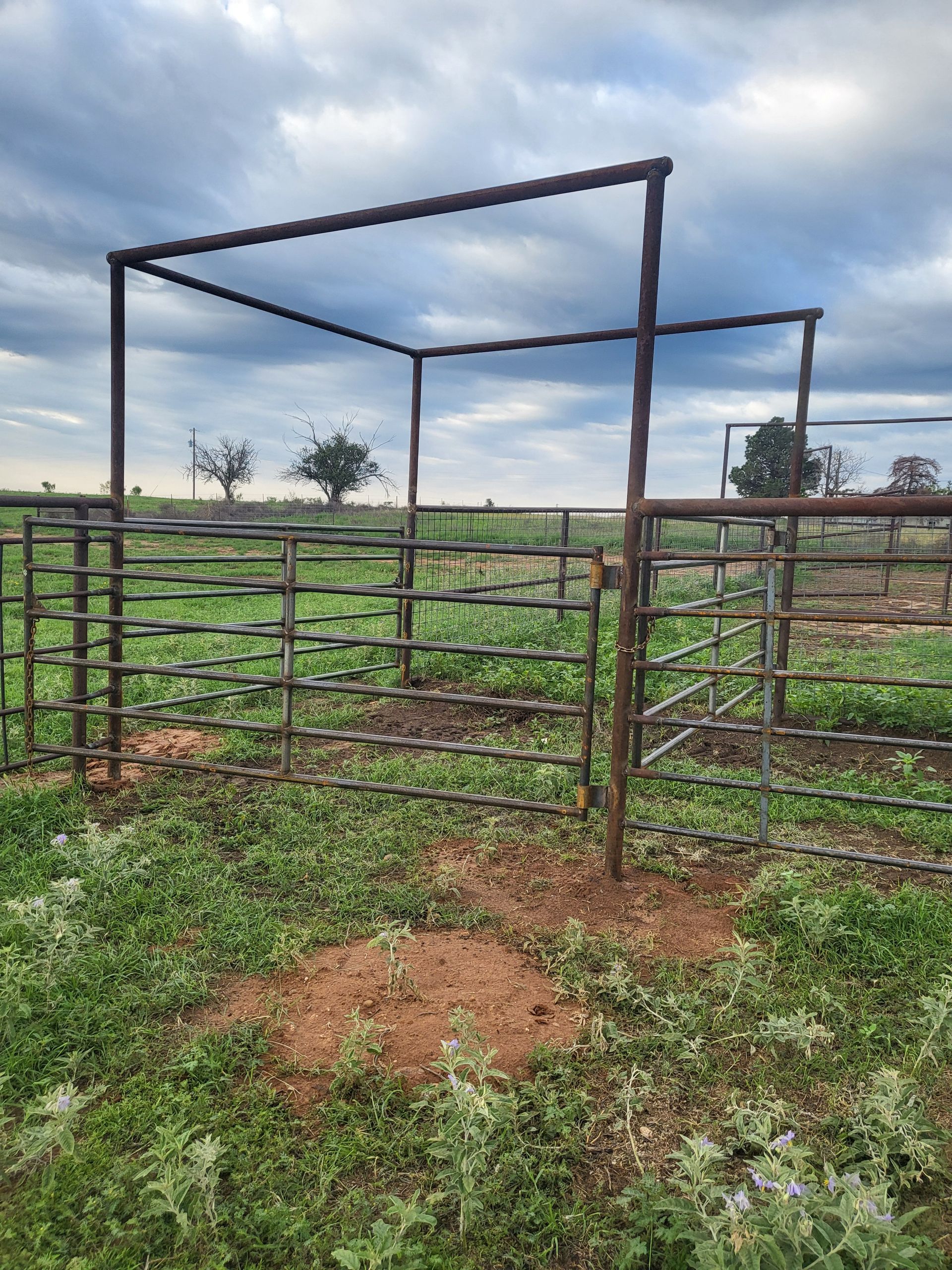 Metal cattle pen with open gate under cloudy sky in a grassy field.