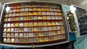 A collection of hawaiian coins including a half dollar quarter dollar dime and cent.