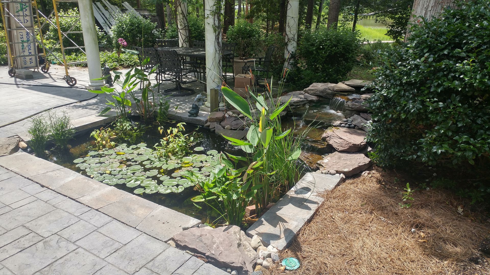 Backyard water feature of a waterfall going into a pong