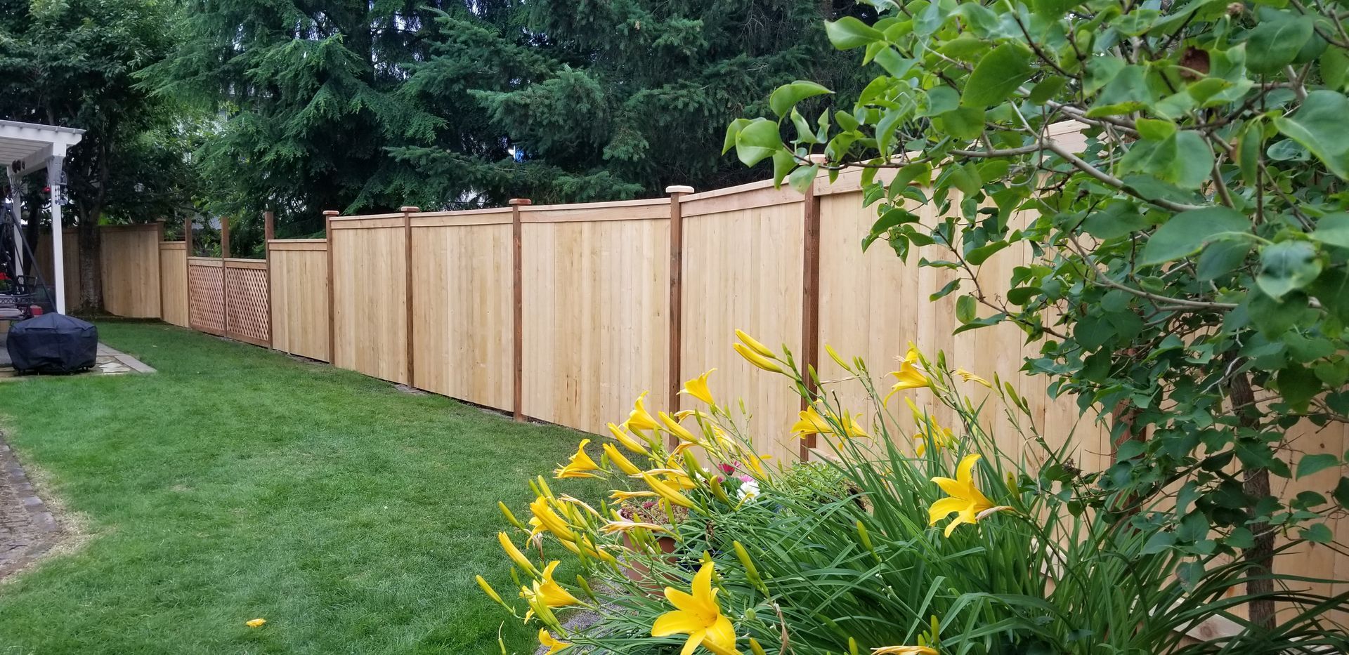 Wooden fence in a backyard with grass, flowers, and trees.