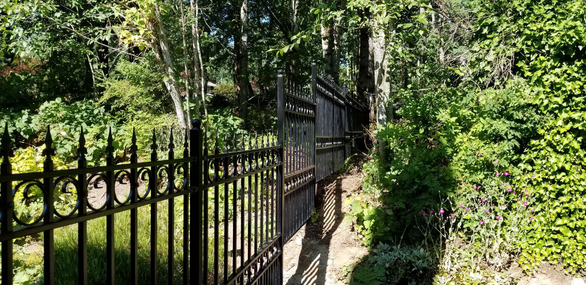A black metal fence and gate bordering a lush green landscape. Sunlight filters through the trees.