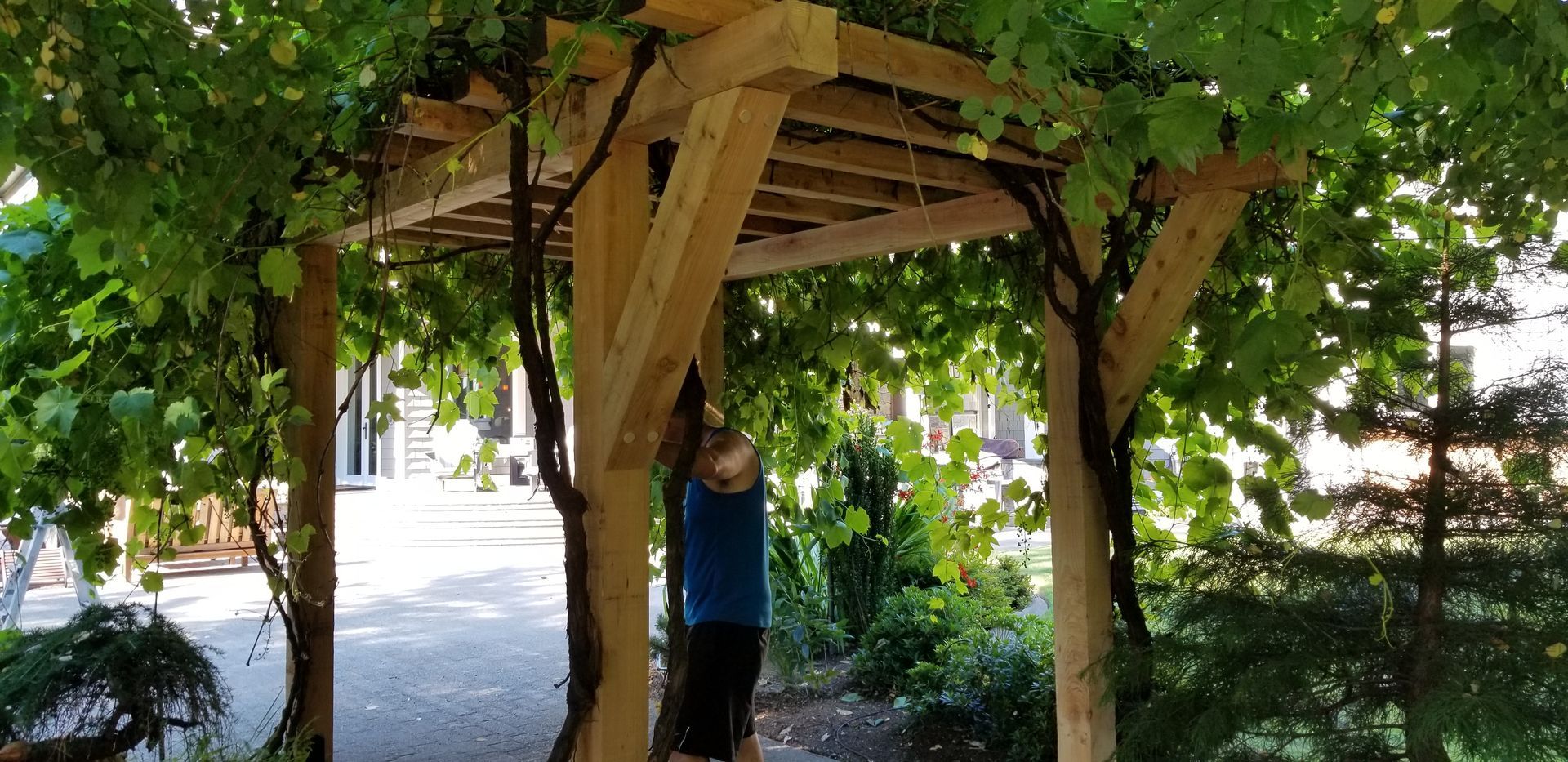 Wooden pergola draped with green foliage. A person stands beneath it.
