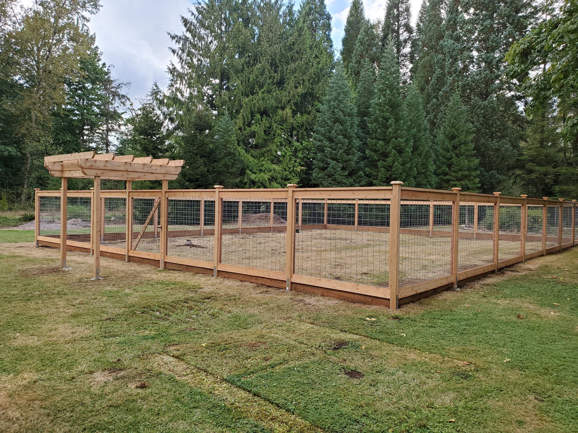 Wooden fenced garden with wire mesh, pergola, and trees in the background.