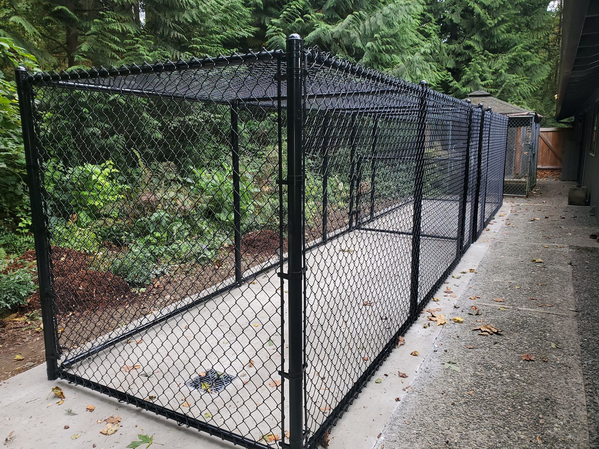 Black chain-link dog kennel on a concrete patio next to a building and trees.
