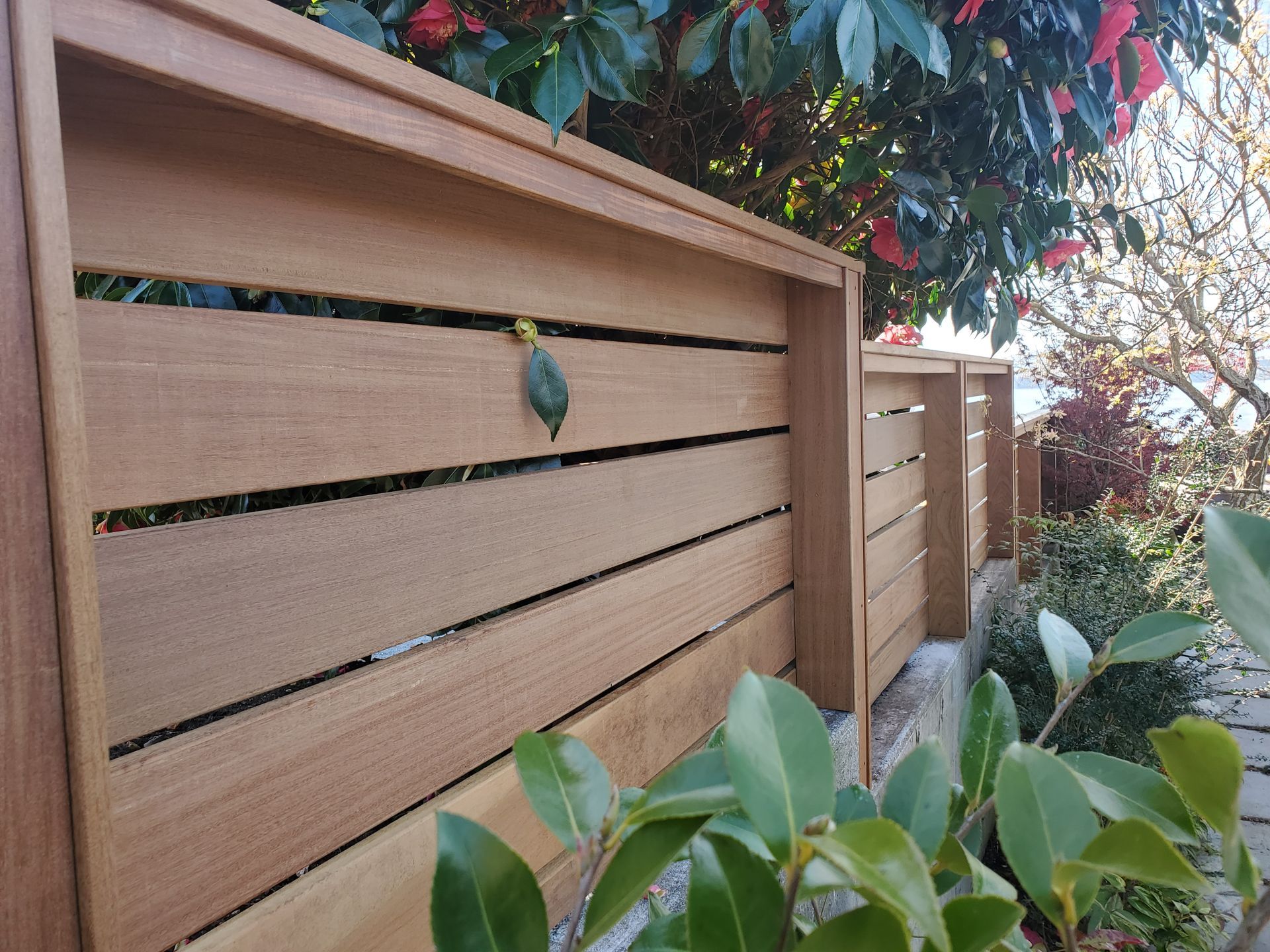 Wooden horizontal slat fence with green leaves and a bush in the foreground.