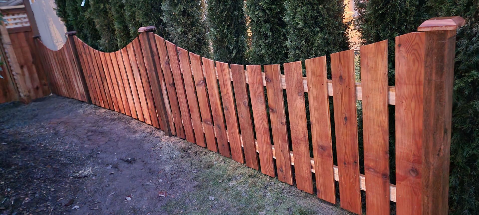 Wooden fence with a curved top, in front of green foliage. The fence is made of vertical planks.