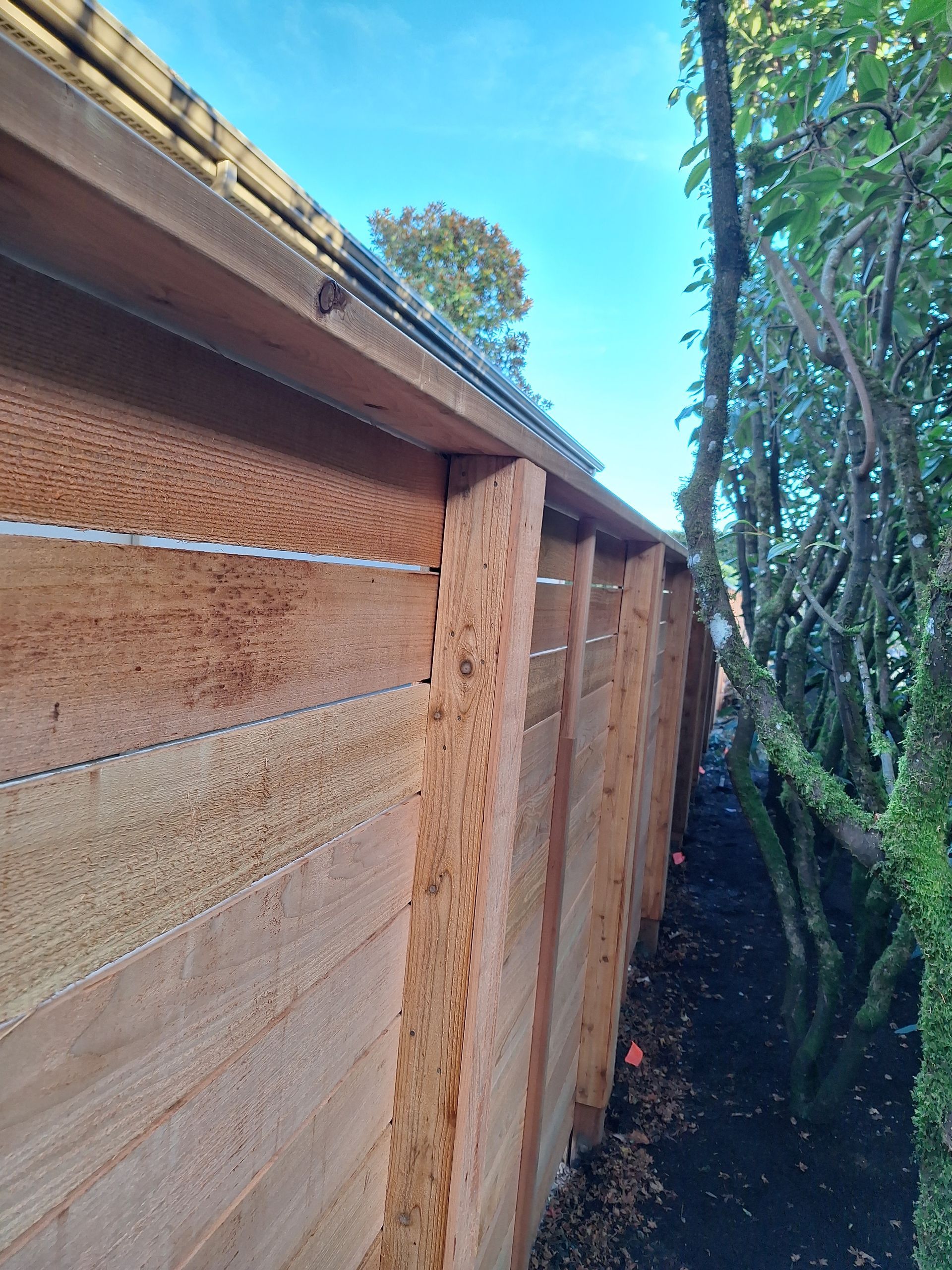 Wooden fence alongside trees, blue sky visible.